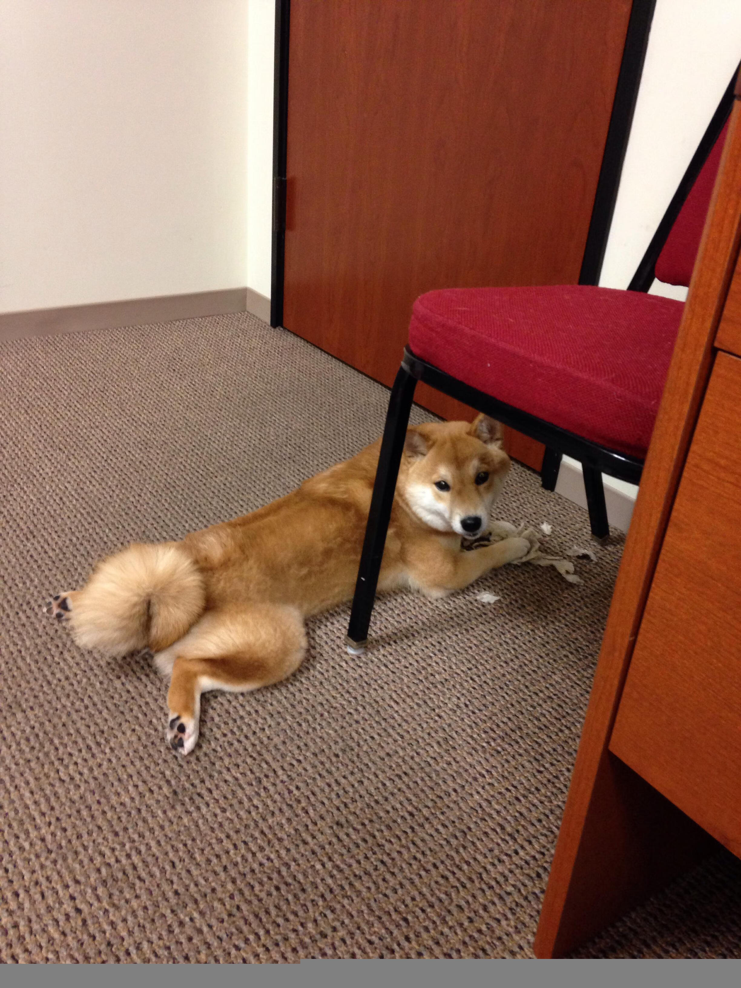 扩展思维,文章标题