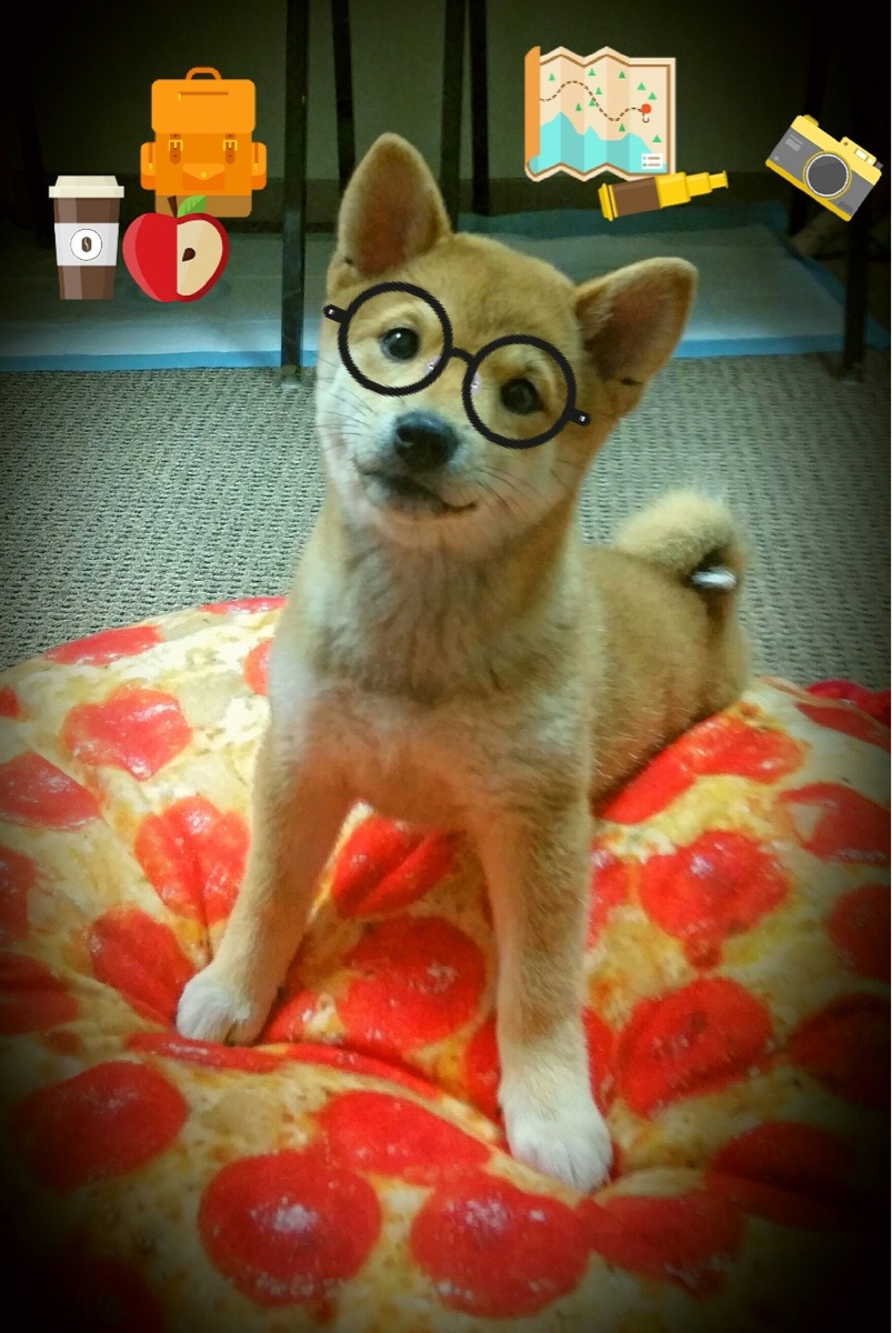 金玟哉的逆袭，加拿大防守锁死韩国，他却接管年度焦点之战