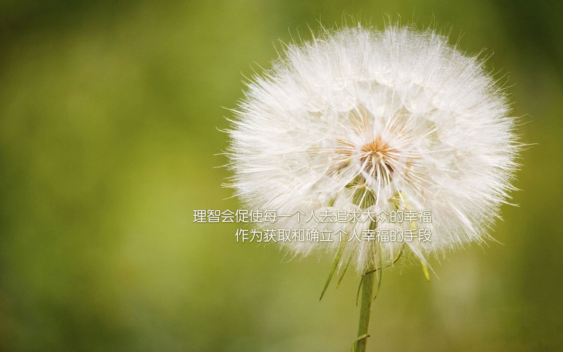 寂静的爆发，当卡马文加在美加墨的喧嚣中接管比赛