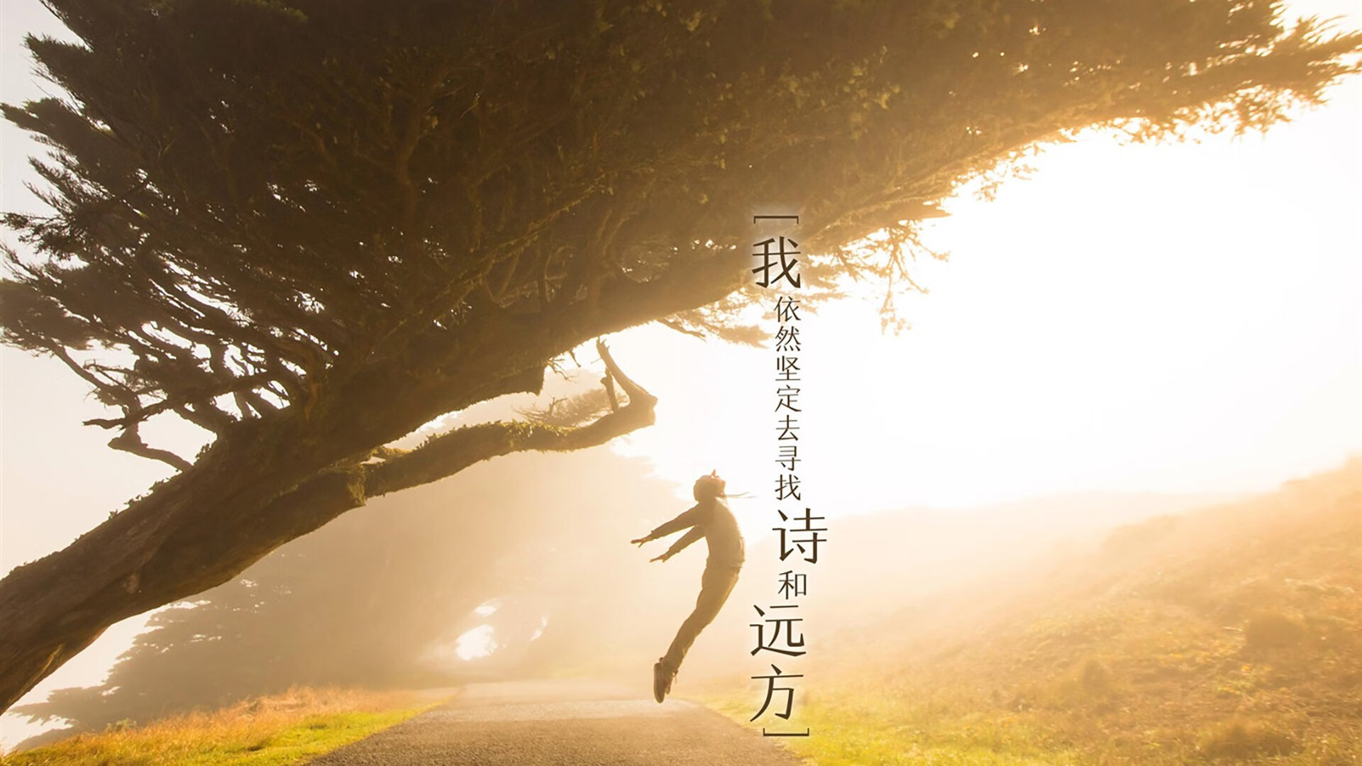 武切维奇奏响节奏交响曲，火箭遭广东队跨维度战术破解