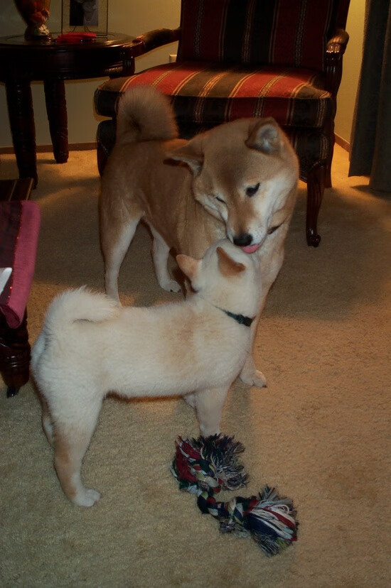 风暴席卷!摩纳哥一波流击溃秘鲁,阿什拉夫赛后评分全满引热议
