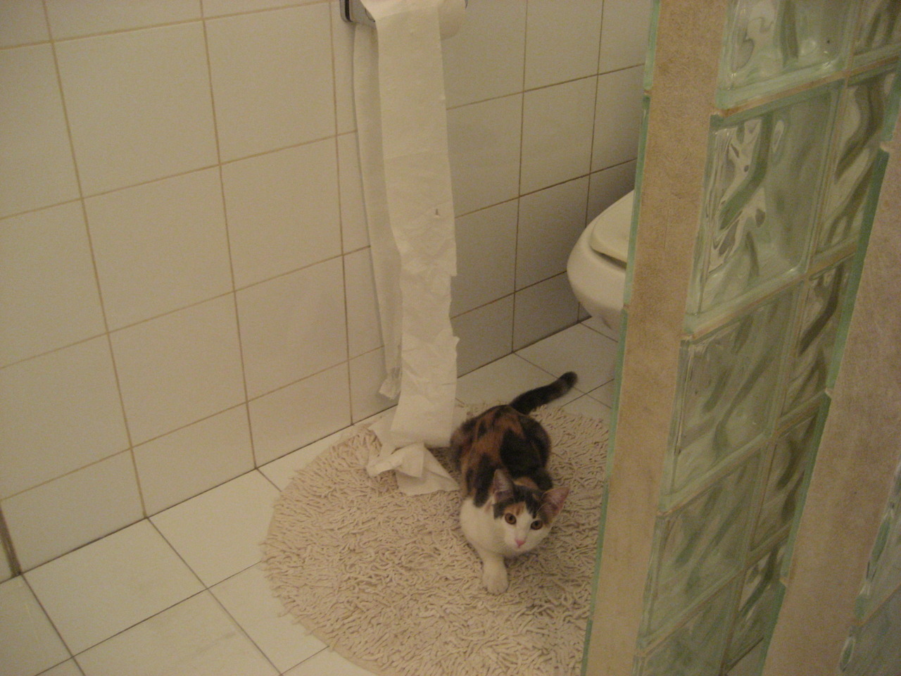 风暴席卷!摩纳哥一波流击溃秘鲁,阿什拉夫赛后评分全满引热议