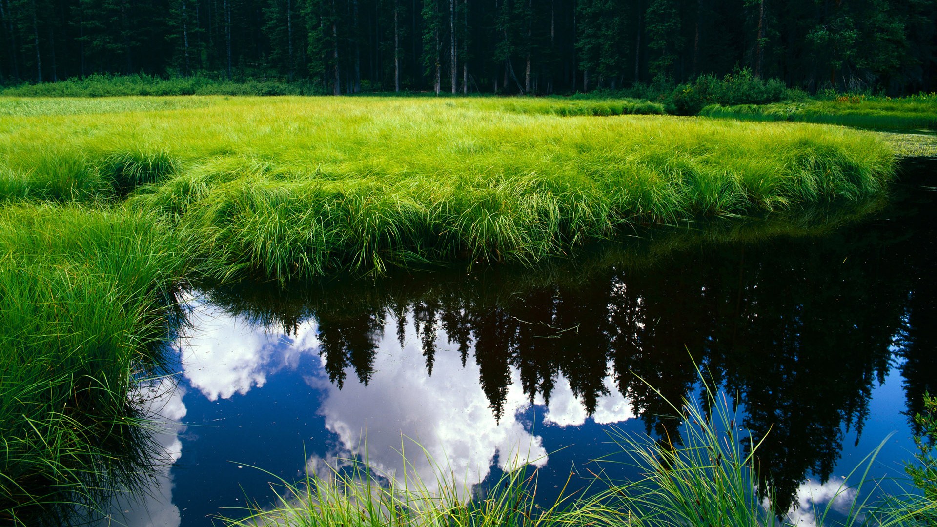 航海者的决断,李刚仁一人的海图,韩国队驶过卡塔尔的风暴
