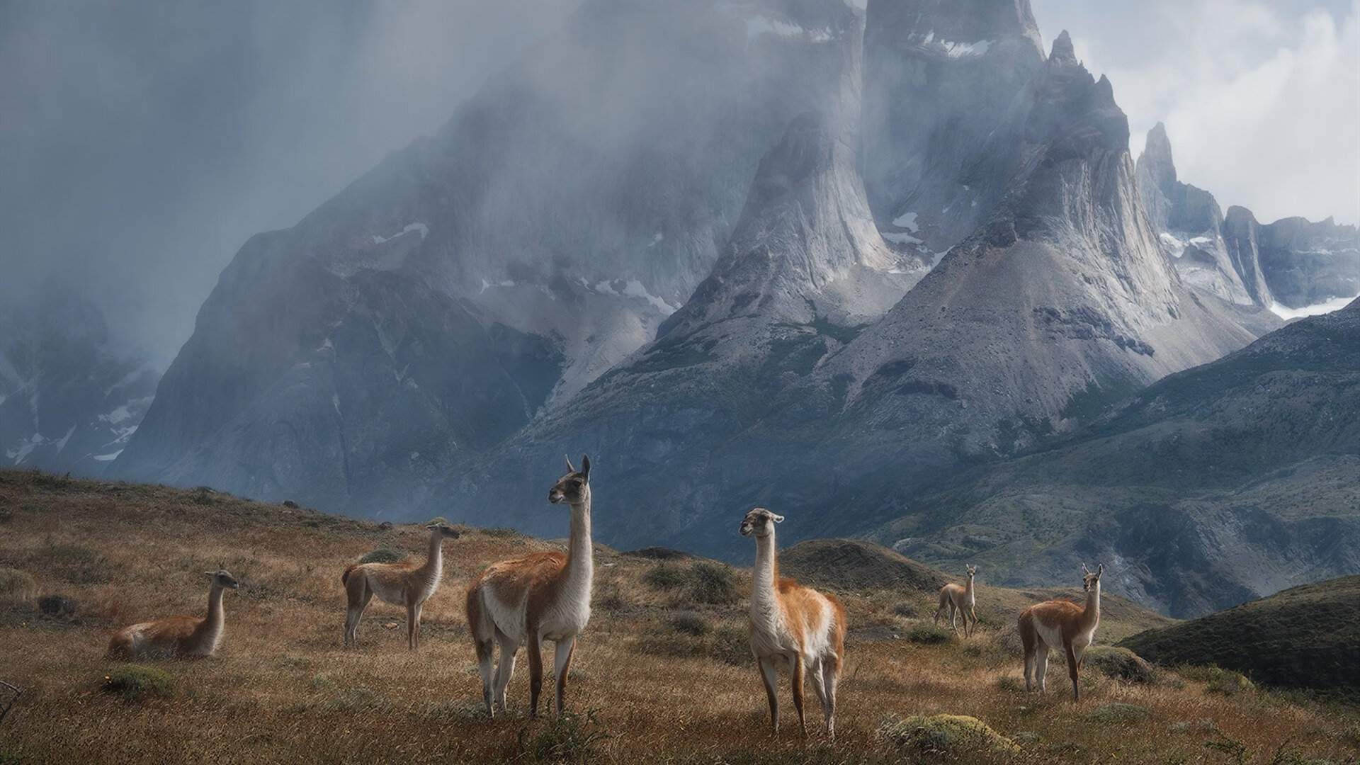 双城记，东契奇的完美数据与勇士的残缺胜利